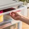IRIS USA Plastic Storage Drawers Container Organizer for Clothes